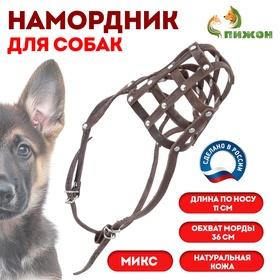 image for offer named Намордник кожаный Зооник №5, немецкая овчарка,терьер (длина по носу 11 см, обхват морды 36 см), микс