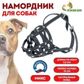 image for offer named Намордник кожаный Зооник №С, стаффорд (длина по носу 9,5 см, обхват морды 32 см), микс