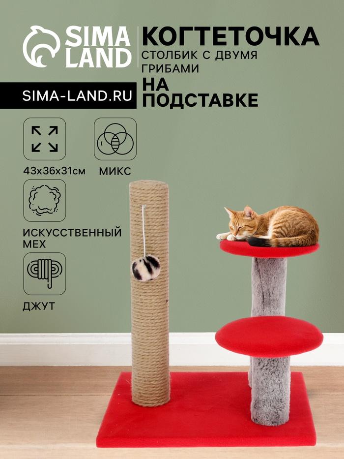 offer image