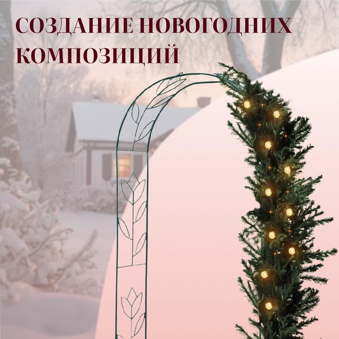 offer image