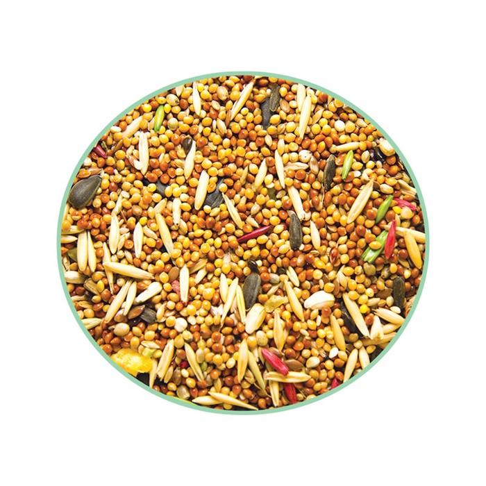 offer image