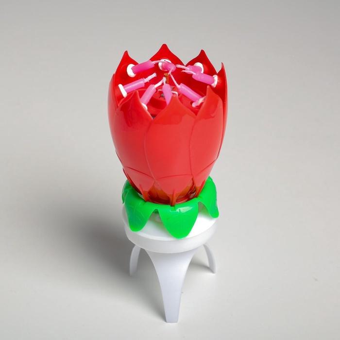 offer image