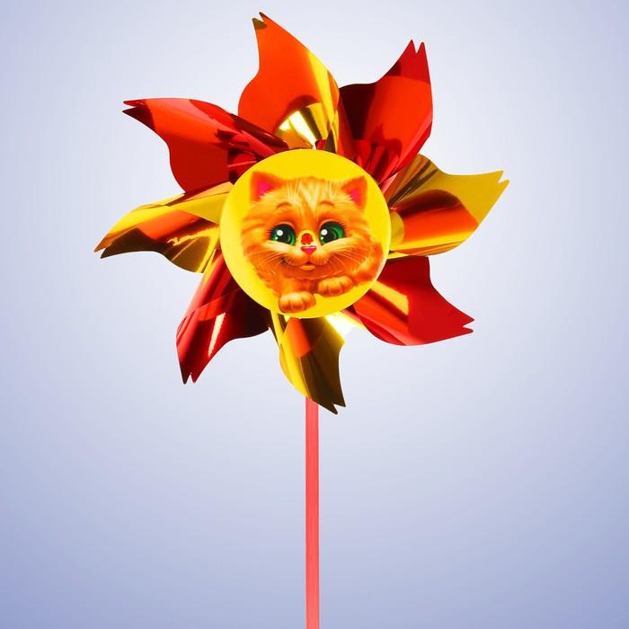 offer image
