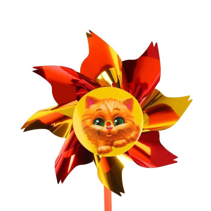 offer image