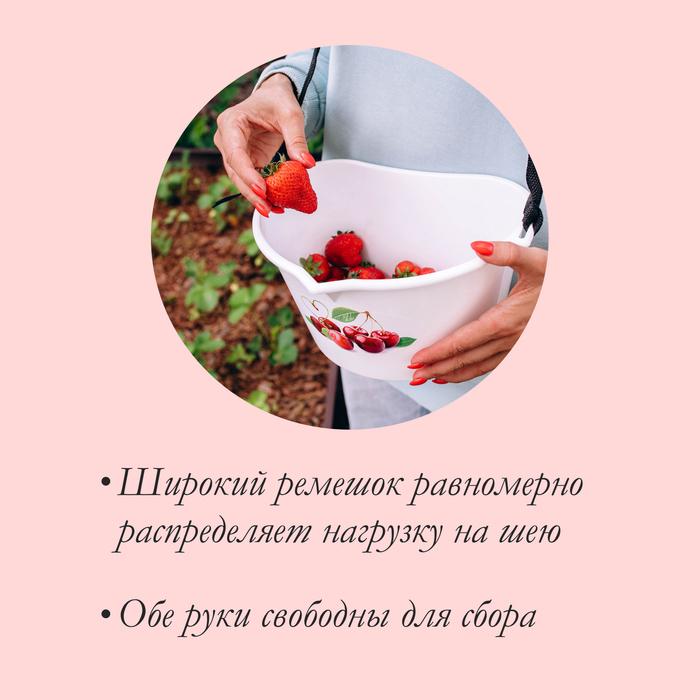 offer image