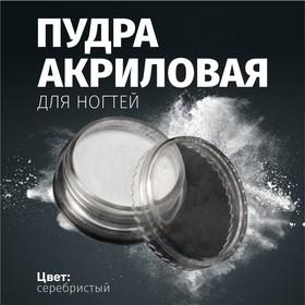 image for offer named Акриловая пудра для ногтей, серебристая