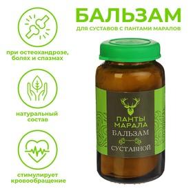 image for offer named Суставной бальзам «Панты марала», Целебный Алтай, 30 мл