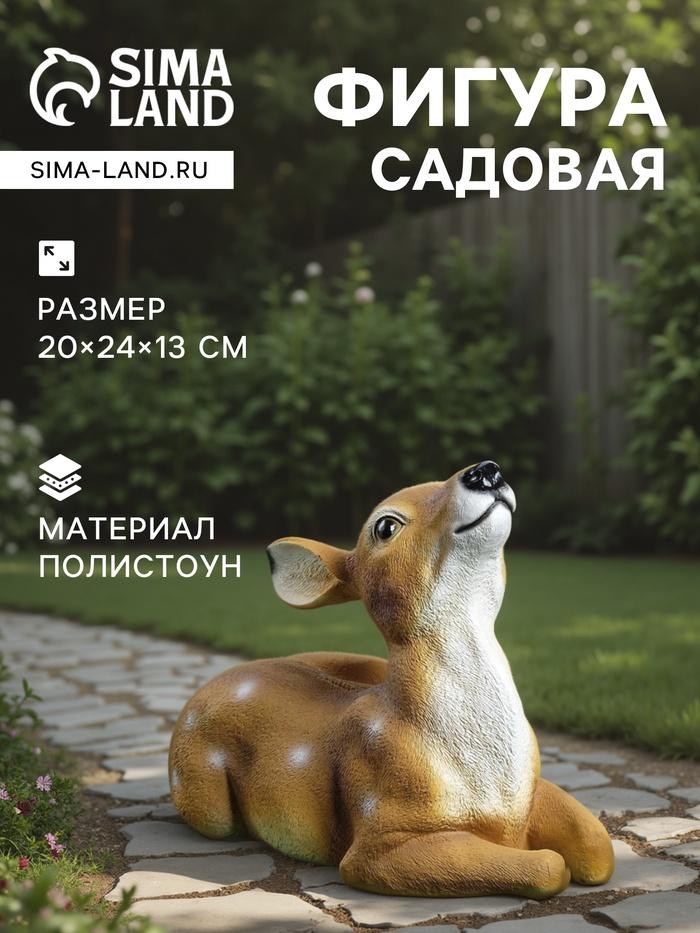 offer image