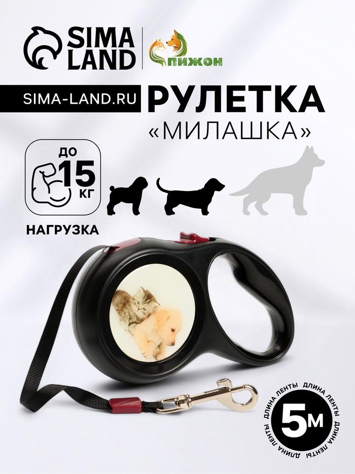 offer image