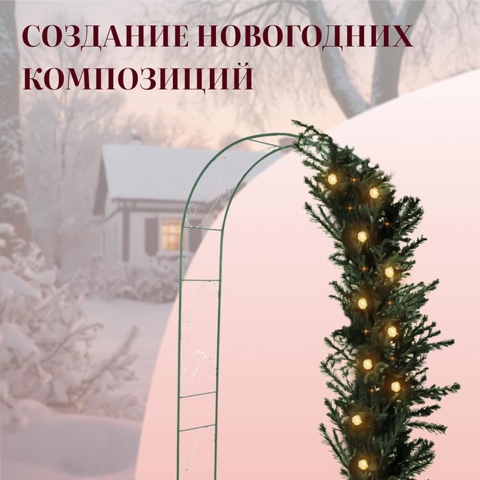 offer image