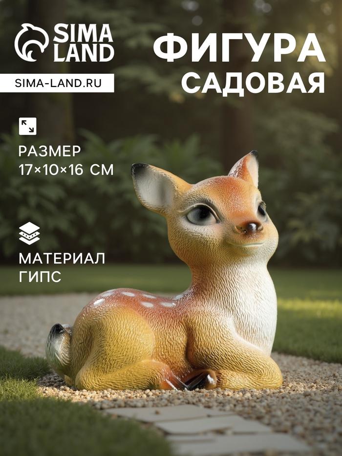 offer image