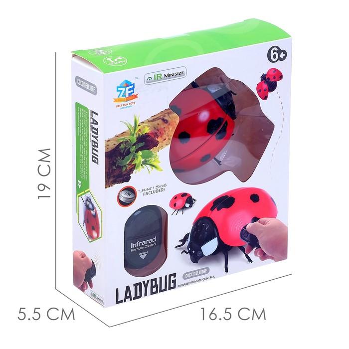 offer image
