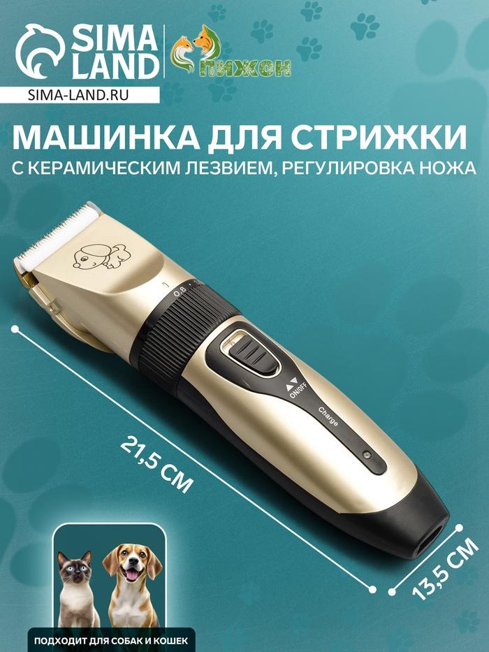 offer image