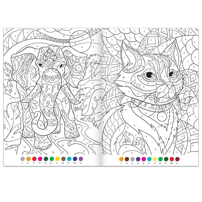 offer image