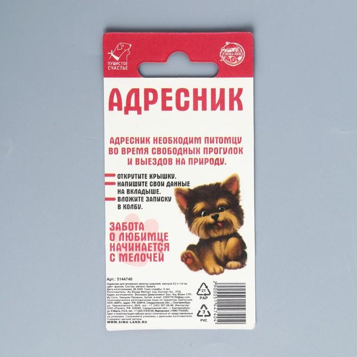 offer image