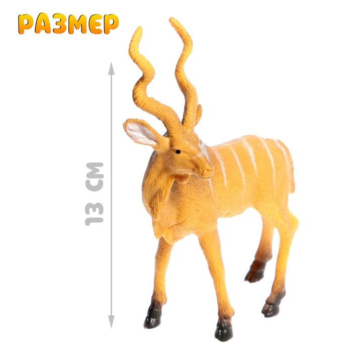 offer image