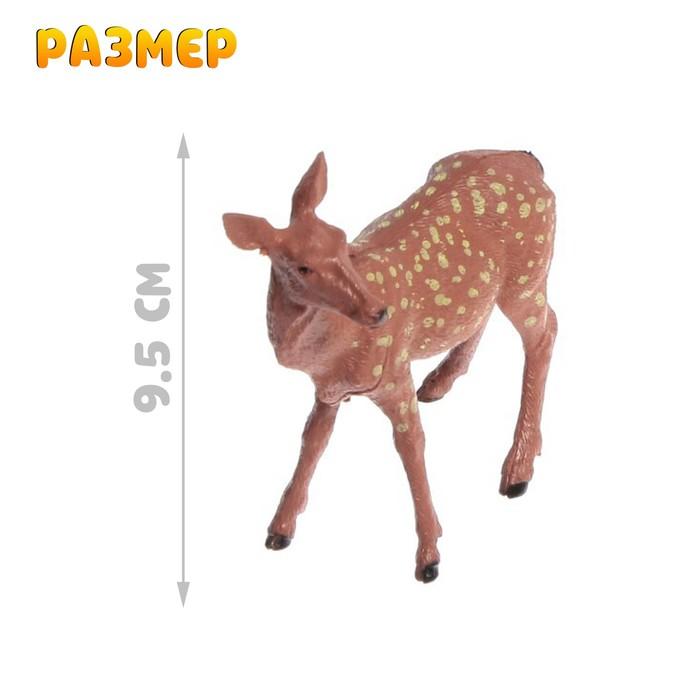 offer image