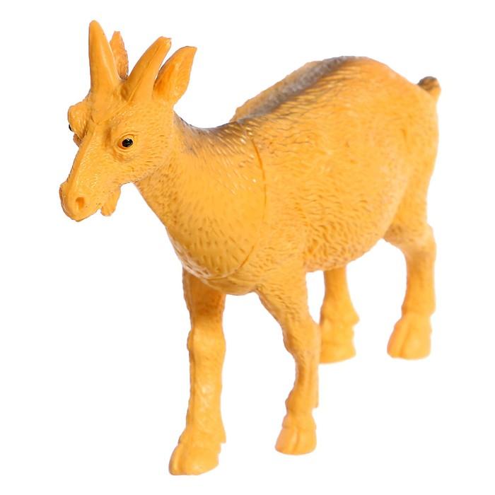 offer image