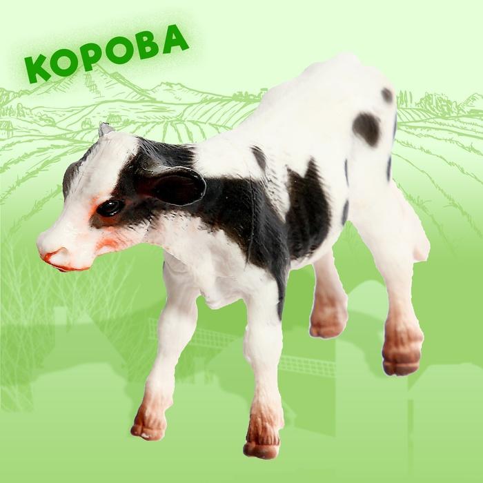 offer image