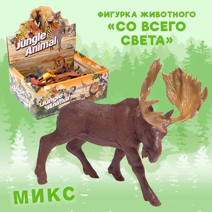 offer image
