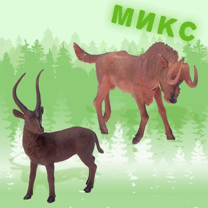 offer image