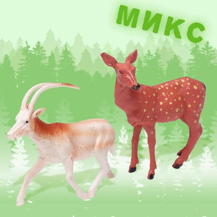 offer image