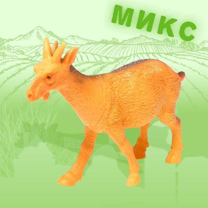 offer image