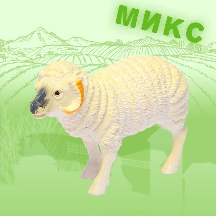 offer image