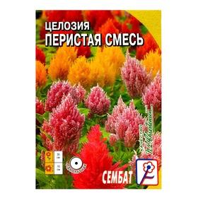 image for offer named Семена цветов Целозия Перистая смесь 0,1 г