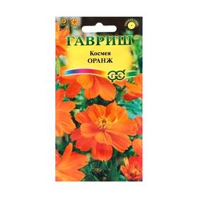 image for offer named Семена цветов Космея "Оранж", ц/п,  махровая,  0,3 г