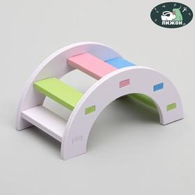 image for offer named Лесенка для грызунов полукруглая, микс цветов