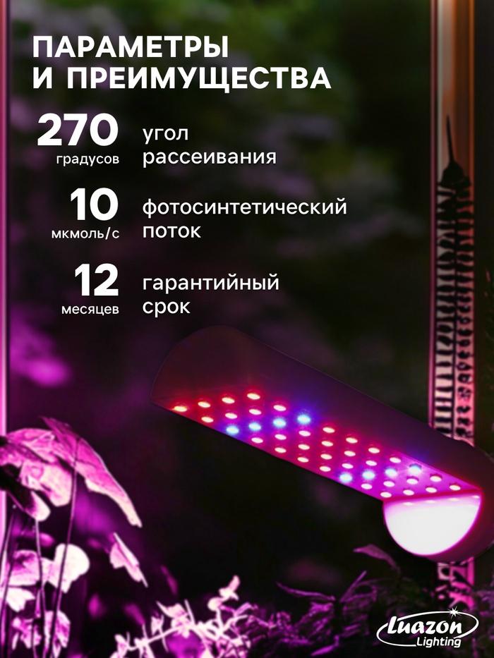 offer image