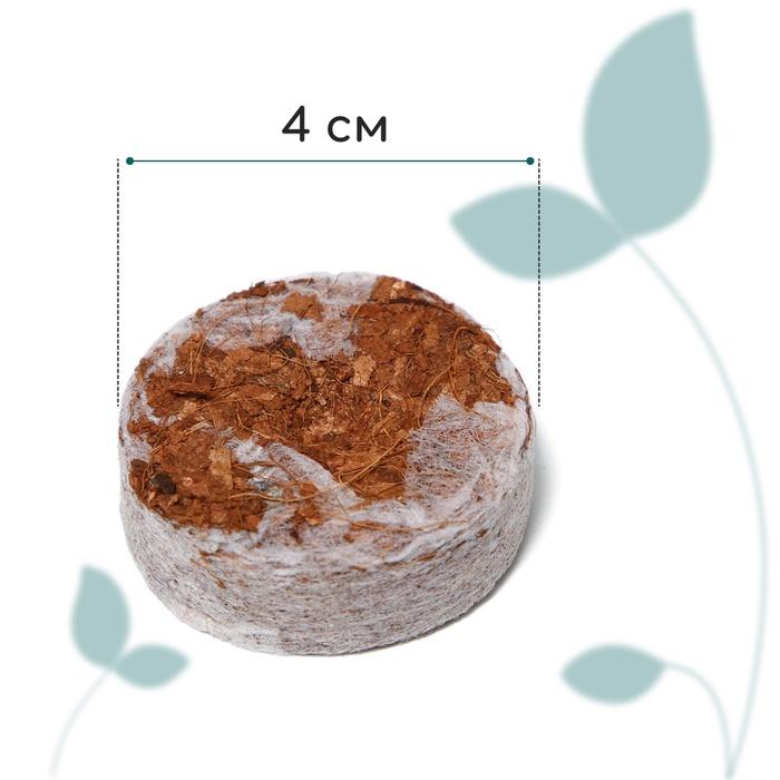offer image