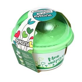 image for offer named Набор для выращивания «Моя микрозелень», рукола