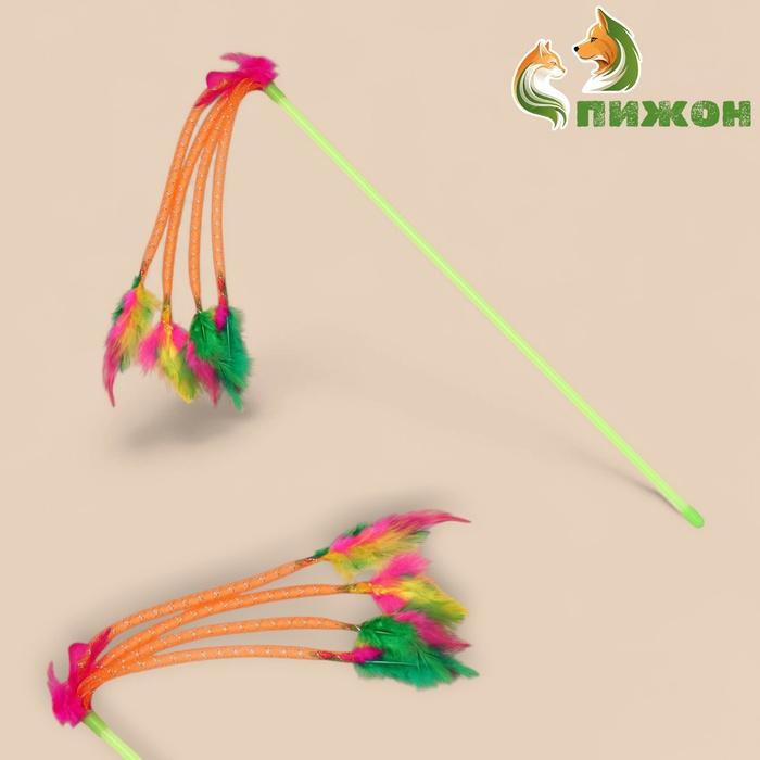 offer image