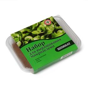 image for offer named Набор для выращивания микрозелени My Greens: шпинат, лоток, джутовый коврик