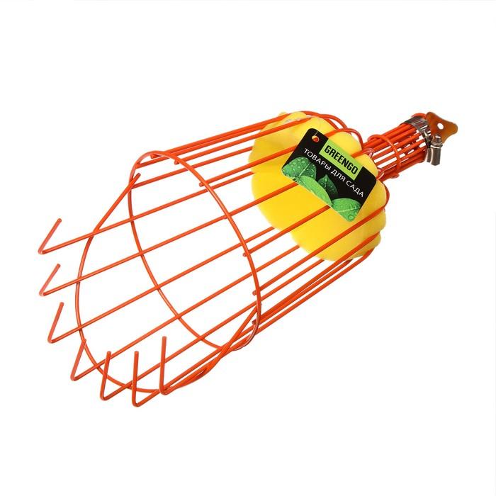 offer image