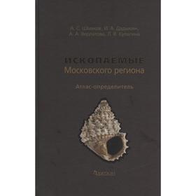 image for offer named Ископаемые Московского региона. Шмаков А.