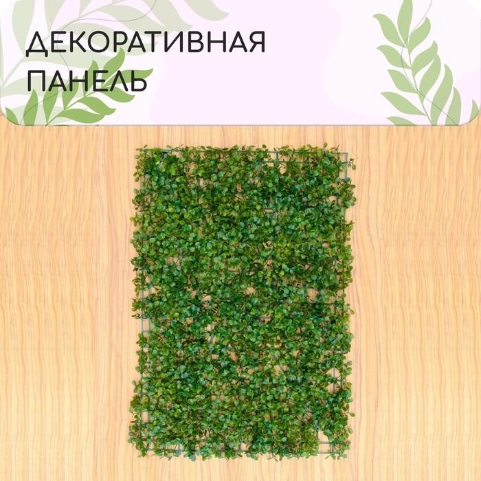 offer image