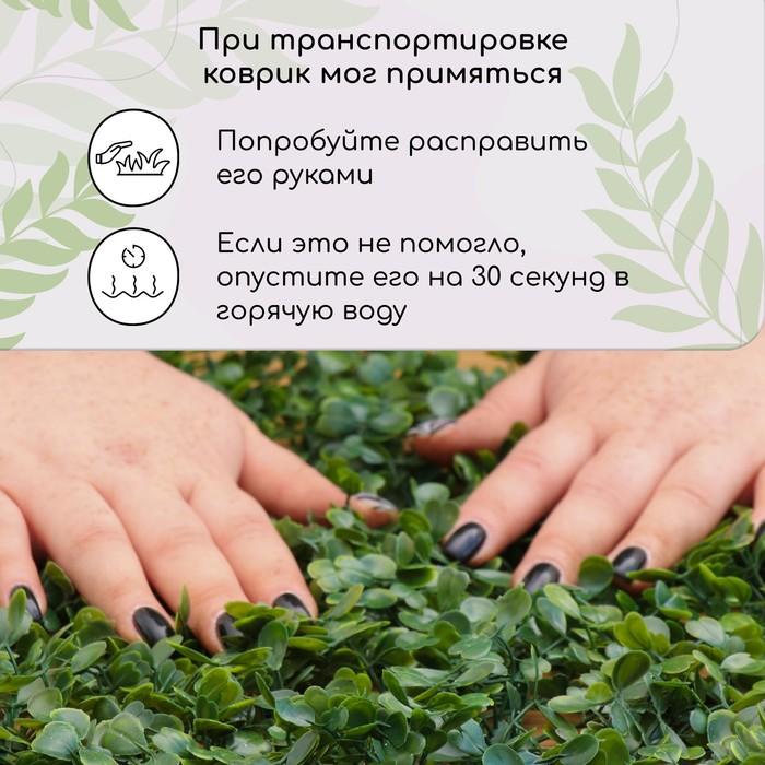 offer image