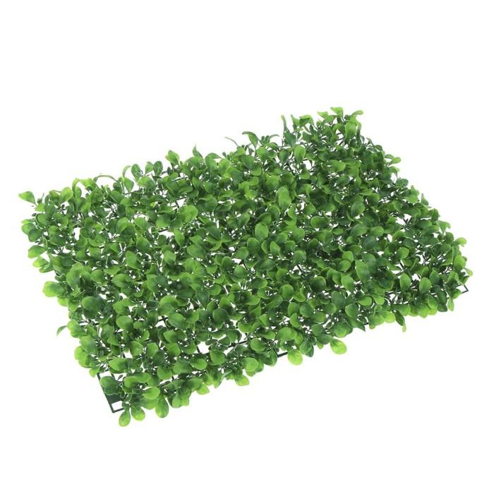offer image