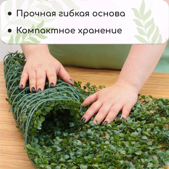 offer image