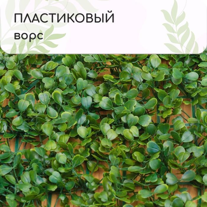 offer image