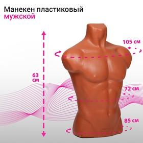 image for offer named Торс мужской «Карон» 63×85 см, объём 85 см, цвет оранжевый