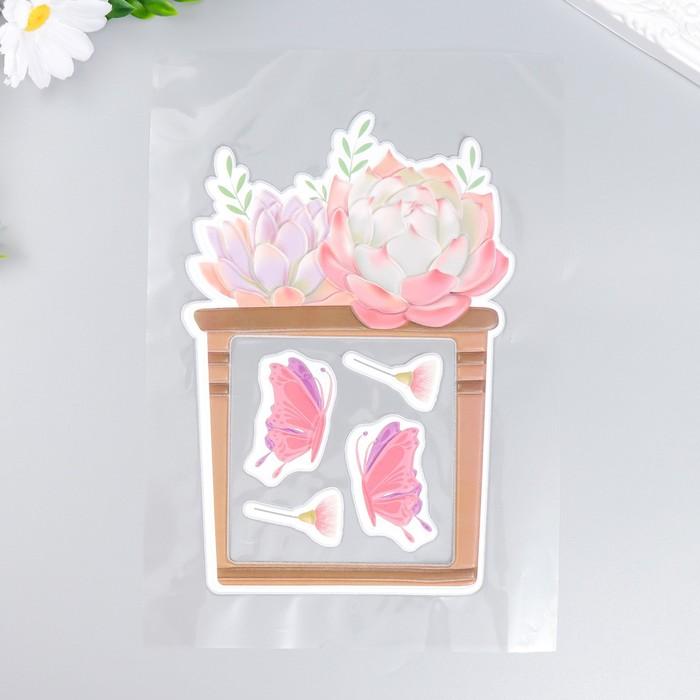 offer image
