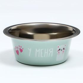 image for offer named Миска стандартная "Пижон. У меня лапки", 225 мл