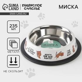 image for offer named Миска металлическая для кошки с нескользящим основанием «Где моя еда?», 235 мл, 15х3.5 см
