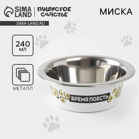 image for offer named Миска для кошек и собак из нержавеющей стали «Авокотик», 240 мл, 11 х 4 см