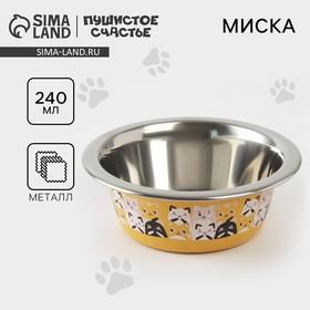 image for offer named Миска для кошек и собак из нержавеющей стали «Котики», 240 мл, 11 х 4 см