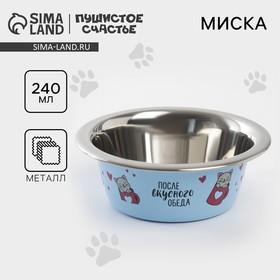 image for offer named Миска для кошек и собак из нержавеющей стали «После вкусного обеда», 240 мл, 11 х 4 см